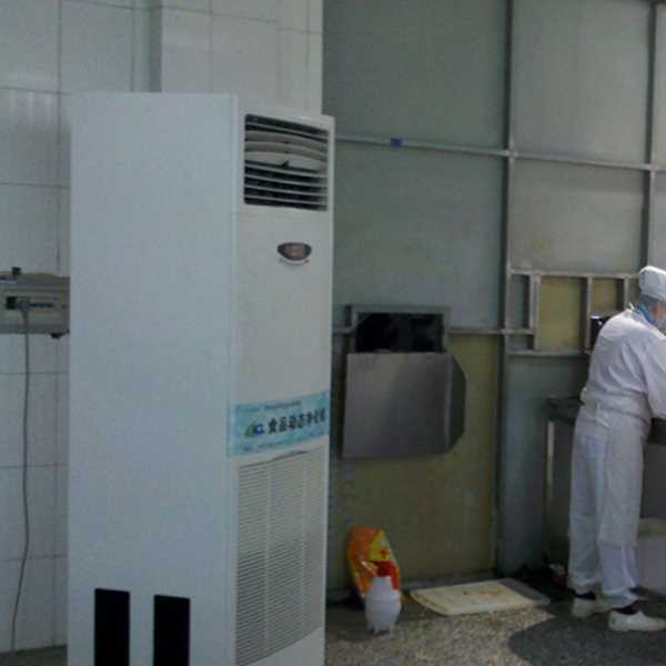 文昌食品正负离子空气杀菌器